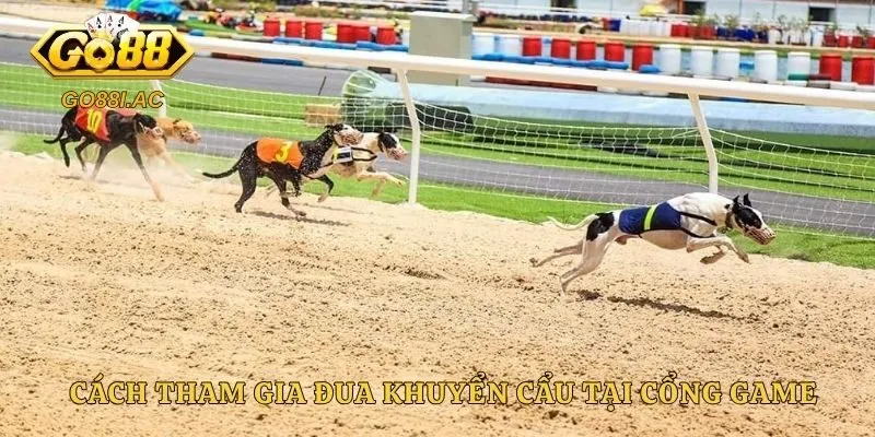 Cách tham gia đua khuyển cẩu tại cổng game