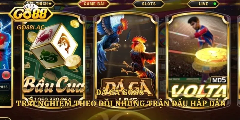 Đá Gà Go88 – Trải Nghiệm Theo Dõi Những Trận Đấu Hấp Dẫn
