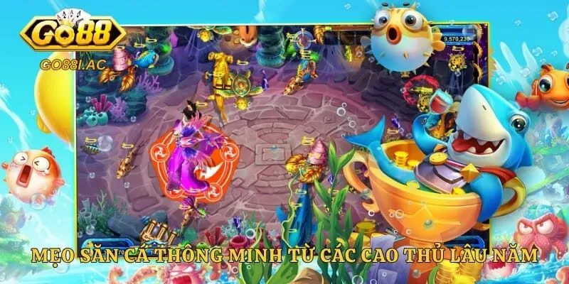 Mẹo săn cá thông minh từ các cao thủ lâu năm