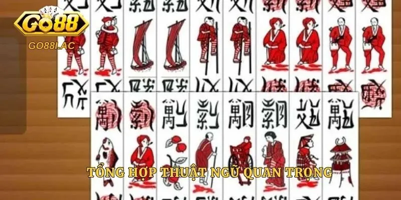 Tổng hợp thuật ngữ quan trọng