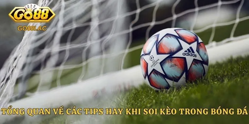 Tổng quan về các tips hay khi soi kèo trong bóng đá